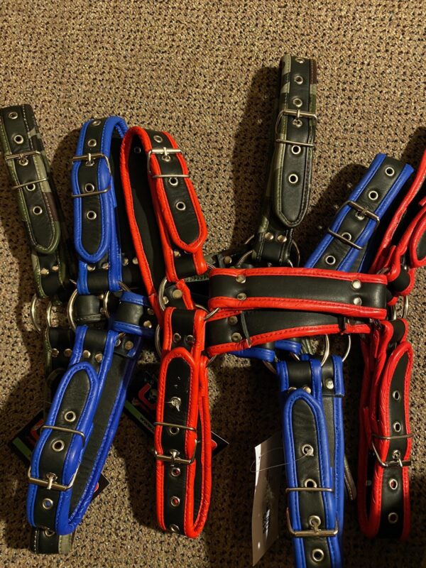 bulldog harness with colored trim
